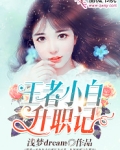 王者小白升职记怎么获得
