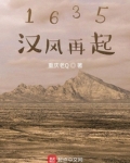 1635汉风再起笔趣阁