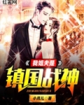 我姐夫是镇国战神小说