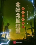 从木叶村开始签到免费阅读