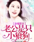 驱鬼老公听书