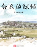 会飞的绿猫