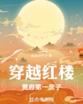穿越红楼：贾府第一庶子