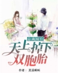 总裁接住,天上掉下双胞胎 小说
