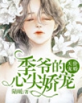 季少的天价