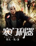 小说 寒门