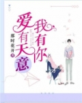 歌曲爱有天意