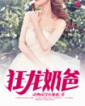 狂龙奶爸