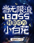 当无限流boss转职成为小白花76章