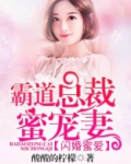 闪婚蜜爱：霸道总裁蜜宠妻