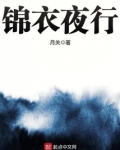 锦衣夜行同义词