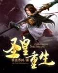 圣皇重生 小说
