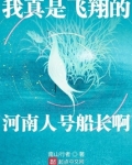 我真是飞翔的河南人号船长啊 南山行者