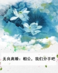 无良离婚：相公，我们分手吧