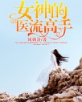 女神的医流高手