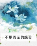 什么叫不期而遇的缘分