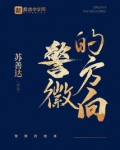 警徽的方向小说