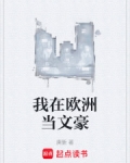 我在欧洲当文豪