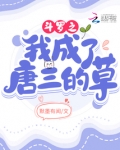 斗罗大陆之我成了唐三的系统