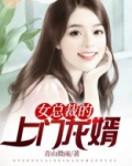 女总裁的上门龙婿龙隐全文免费阅读完整版