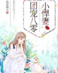 团宠八零小悍妻
