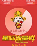 星际流量群免费阅读