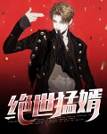 绝世龙婿小说