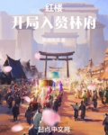 红楼：开局入赘林府