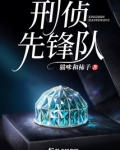 刑侦支队先进集体事迹材料