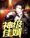 神级佳婿 小说