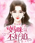 六宝当道:妈咪不好追