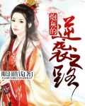 炮灰的逆袭之路免费阅读