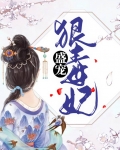 穿越狠毒宠妃