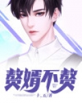 赘婿不赘有声小说