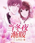当冬夜渐暖小说