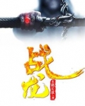 战龙在野 1992年柯受良执导电影